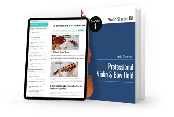 Professional Violin & Bow Hold